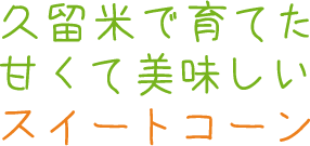 久留米で育てた甘くて美味しいスイートコーン