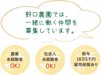 野口農園では、一緒に働く仲間を募集しています